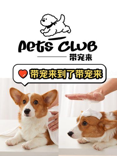臭狗变香狗[笑脸]体验波至尊纯手法SPA洗护体验