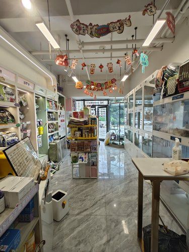 家附近的可爱宠物店