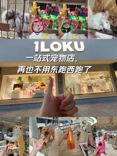 上海一站式宠物店，再也不用东跑西跑了