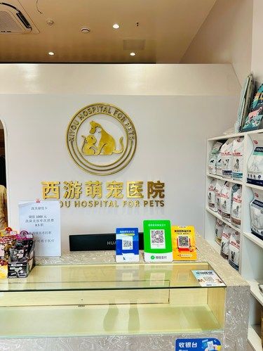 我来了西游宠物医院