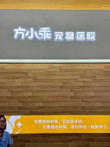 厦门最专业的宠物医院！！好靠谱啊。。。