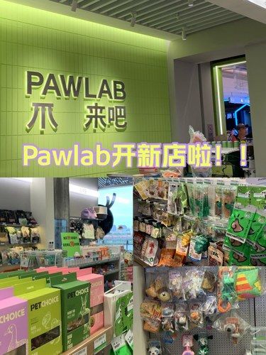 厦门最喜欢的一家宠物咖啡店