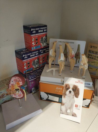 厦门铲屎官必备：24 小时营业的方小乖宠