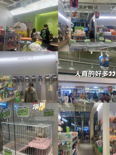 厦门大悦城❗️新开的宠物商店❗️