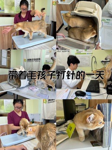 医术超赞 医心更美~