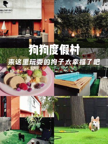从此，狗狗也有自己的度假村啦~~