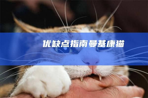 优缺点指南曼基康猫