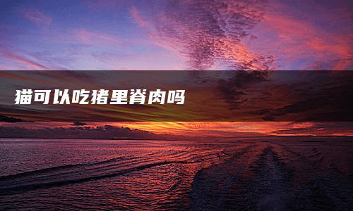 猫可以吃猪里脊肉吗