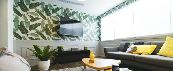 兔子会咬沙发吗_兔子为什么要舔家具