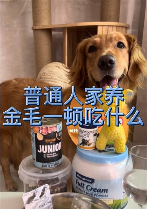宠物狗能吃海苔吗？（探究狗狗是否适合食用海苔）