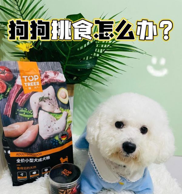如何解决宠物挑食问题（从饮食规律到食物搭配，教你让宠物爱上吃饭）