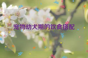 宠物幼犬期的饮食搭配