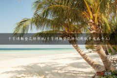 十字绣鞋垫花样50图纸半成品手工 十字绣鞋垫花样图纸