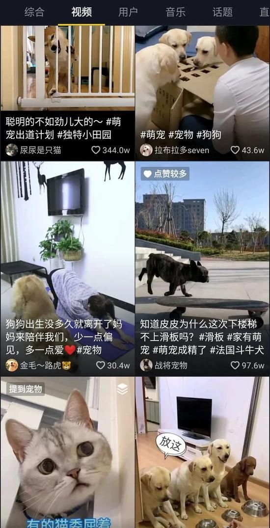 每5秒一场宠物直播 萌宠短视频催生新经济”养活”铲屎官-风君雪科技博客