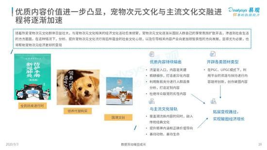 每5秒一场宠物直播 萌宠短视频催生新经济”养活”铲屎官-风君雪科技博客