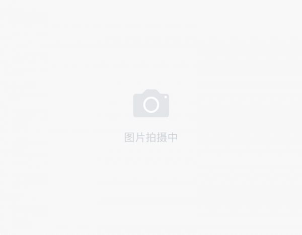 萌宠社区