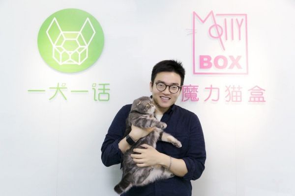 gongsi-mollybox.jpg