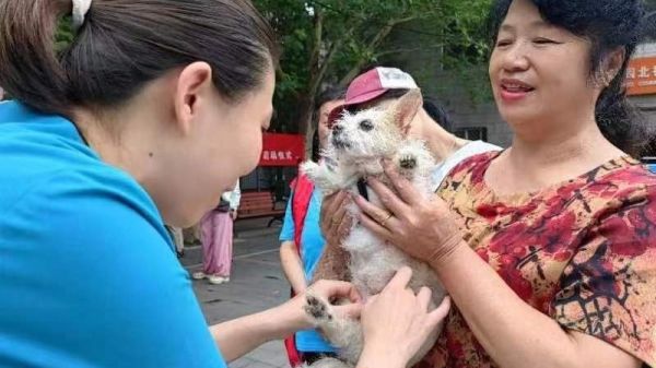 社区宠物有了自己的“组织”