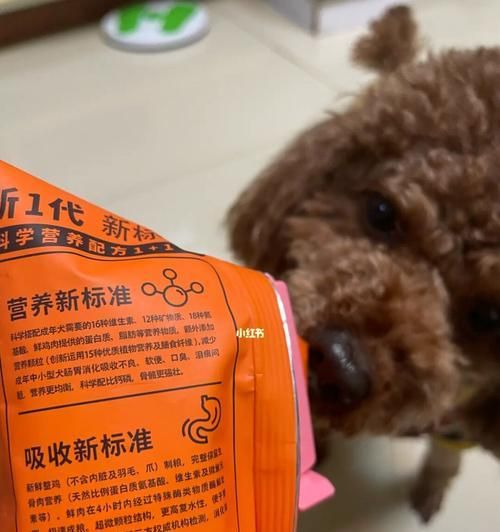 狗粮泡发指南（如何以正确的温度和时间泡发狗粮，保障宠物健康）