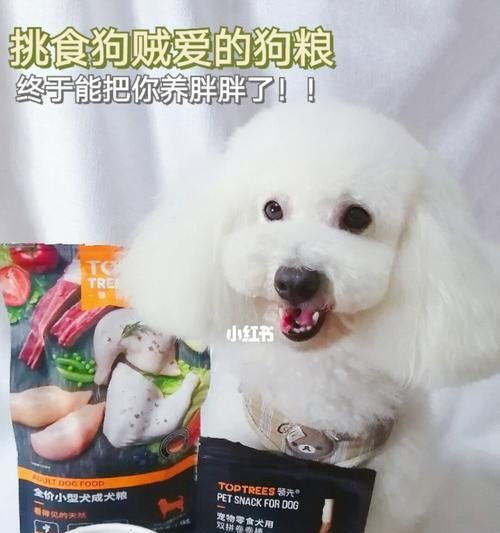 狗粮泡发指南（如何以正确的温度和时间泡发狗粮，保障宠物健康）