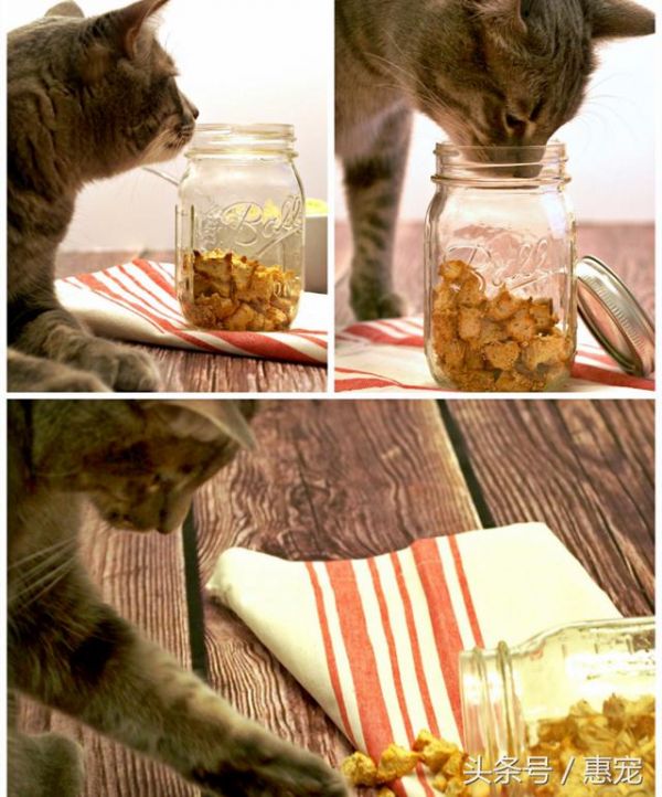好吃不麻烦，教你3个超简单虏获猫咪胃口的自制猫零食！