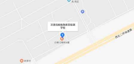 学宠物美容