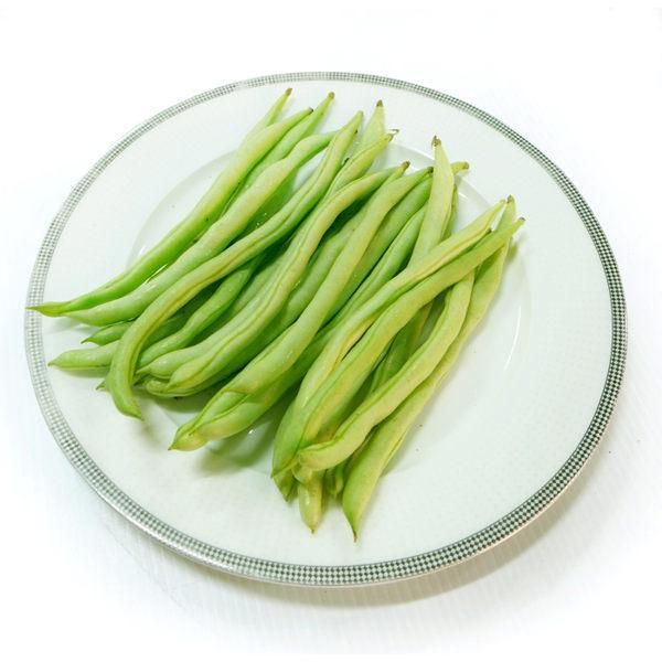 宠物春季蔬食科普，自制宠食再也不会不知道该准备什么蔬食了哟！