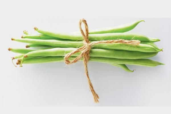 宠物春季蔬食科普，自制宠食再也不会不知道该准备什么蔬食了哟！