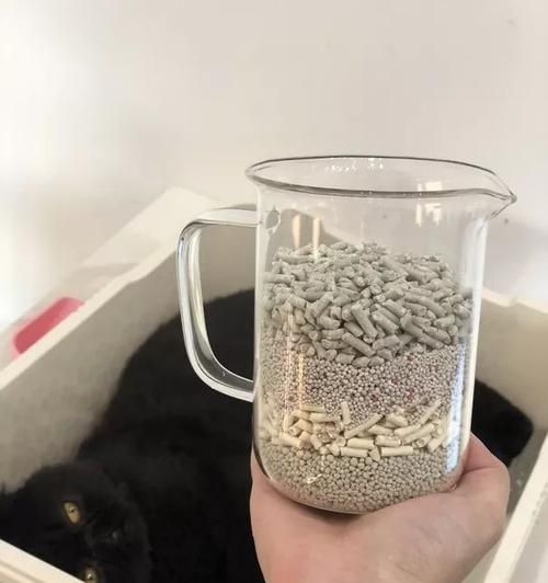 以豆腐猫砂为材料的环保宠物用品制作（环保可持续）