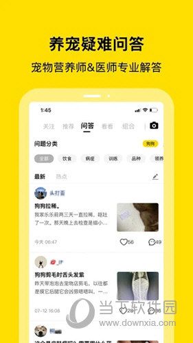 小绒宠物