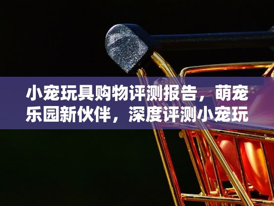 小宠玩具购物评测报告，萌宠乐园新伙伴，深度评测小宠玩具，让你的宠物乐翻天！