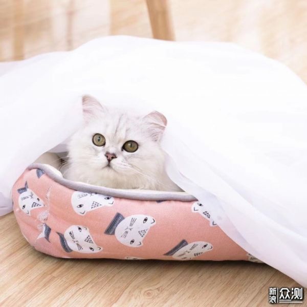 作为铲屎官，这套实用清洁方案请收下_新浪众测