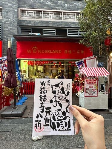 啊啊啊佛山猫猫寺终于开了！！！