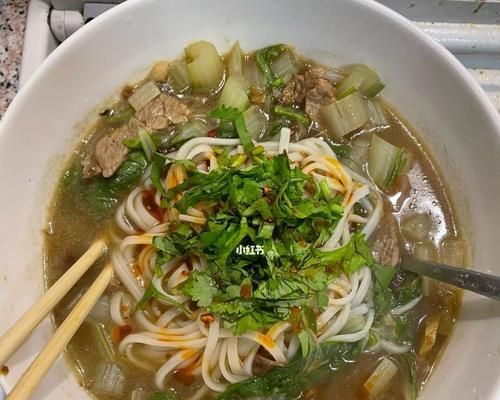 猫咪健康饮食成长指南（以宠物为主，让猫咪吃得健康快乐）