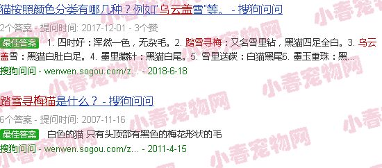 踏雪寻梅猫和乌云盖雪猫
