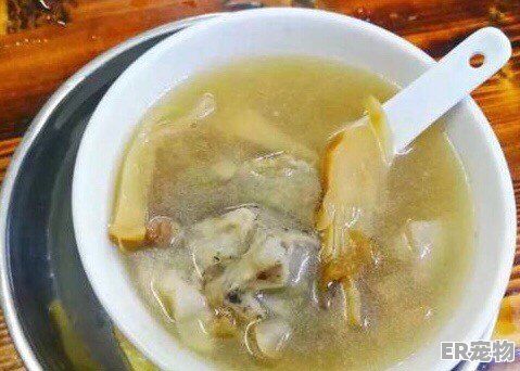 巴西龟怎么杀和烹饪_巴西龟的做法及食用方法