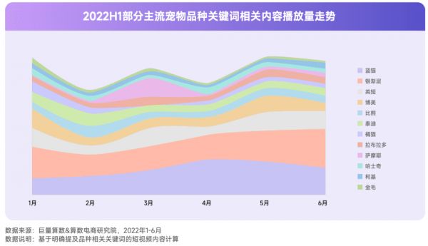 2022抖音宠物行业年中复盘