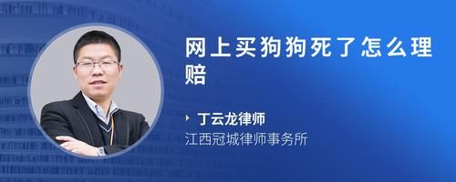 网上买狗狗死了怎么理赔