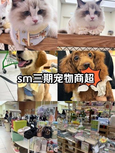 sm三期最大的宠物超市