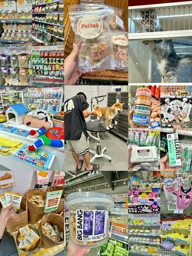 厦门宠物版宜家。。。一应俱全！！！