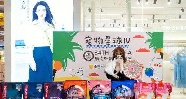 GC布偶猫狮爷——宠物界的宠儿（探寻布偶猫狮爷的成长历程和魅力所在）