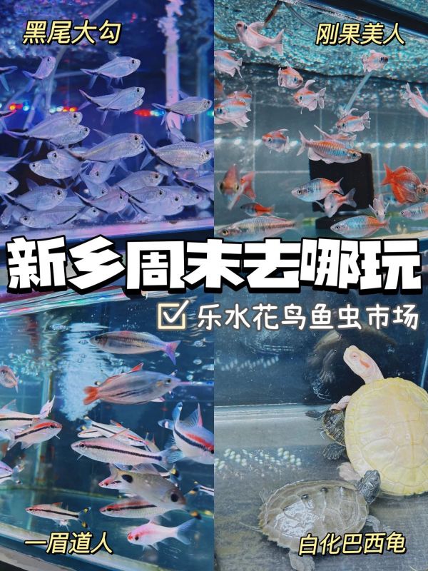 https://img.meituan.net/timgtp/4f36c1abe0b4fe56551cb46b27bbd5c2347750.webp%40_100q%7Cwatermark%3D0%7Cformat%3Djpeg
