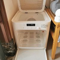猫猫吹毛烘干机