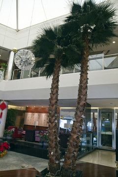 酒店装饰 室内 酒店宾馆 现代