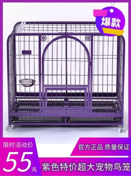 宠物鸟笼简约紫色淘宝电商主图直通车