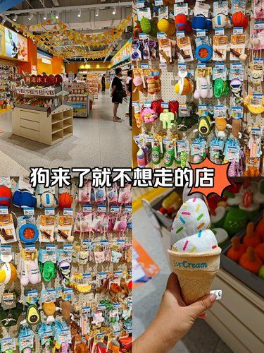 狗狗来了就不想走的店