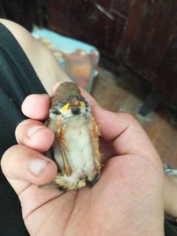 评论图片