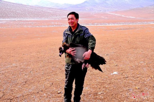 【多彩栖息地】打造鸟类栖息乐园 共享自然生态之美