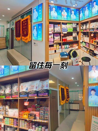 带着毛孩子体检的一天。团购实惠