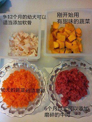 狗狗食谱之幼犬鲜食转换的做法 步骤1